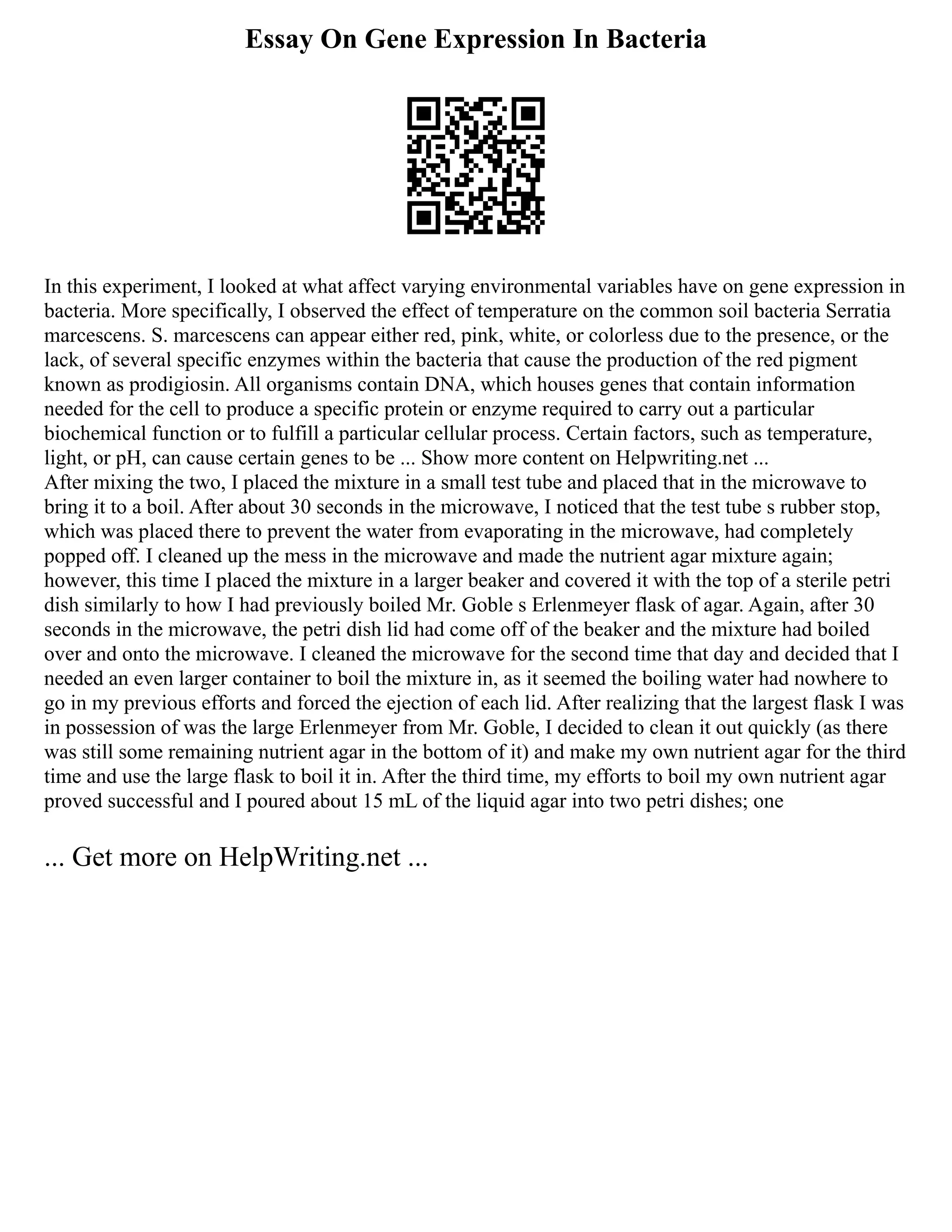 Essay On Gene Expression In Bacteria
In this experiment, I looked at what affect varying environmental variables have on gene expression in
bacteria. More specifically, I observed the effect of temperature on the common soil bacteria Serratia
marcescens. S. marcescens can appear either red, pink, white, or colorless due to the presence, or the
lack, of several specific enzymes within the bacteria that cause the production of the red pigment
known as prodigiosin. All organisms contain DNA, which houses genes that contain information
needed for the cell to produce a specific protein or enzyme required to carry out a particular
biochemical function or to fulfill a particular cellular process. Certain factors, such as temperature,
light, or pH, can cause certain genes to be ... Show more content on Helpwriting.net ...
After mixing the two, I placed the mixture in a small test tube and placed that in the microwave to
bring it to a boil. After about 30 seconds in the microwave, I noticed that the test tube s rubber stop,
which was placed there to prevent the water from evaporating in the microwave, had completely
popped off. I cleaned up the mess in the microwave and made the nutrient agar mixture again;
however, this time I placed the mixture in a larger beaker and covered it with the top of a sterile petri
dish similarly to how I had previously boiled Mr. Goble s Erlenmeyer flask of agar. Again, after 30
seconds in the microwave, the petri dish lid had come off of the beaker and the mixture had boiled
over and onto the microwave. I cleaned the microwave for the second time that day and decided that I
needed an even larger container to boil the mixture in, as it seemed the boiling water had nowhere to
go in my previous efforts and forced the ejection of each lid. After realizing that the largest flask I was
in possession of was the large Erlenmeyer from Mr. Goble, I decided to clean it out quickly (as there
was still some remaining nutrient agar in the bottom of it) and make my own nutrient agar for the third
time and use the large flask to boil it in. After the third time, my efforts to boil my own nutrient agar
proved successful and I poured about 15 mL of the liquid agar into two petri dishes; one
... Get more on HelpWriting.net ...
 