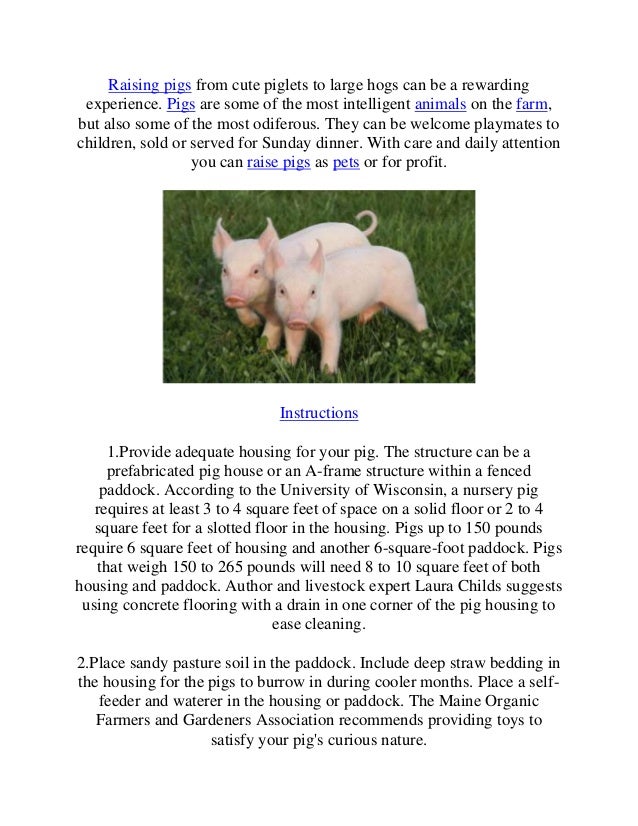 How to raise a pig on a farm