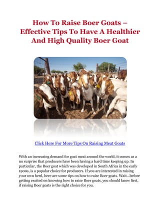 How To Raise Boer Goats –
Effective Tips To Have A Healthier
   And High Quality Boer Goat




         Click Here For More Tips On Raising Meat Goats


With an increasing demand for goat meat around the world, it comes as a
no surprise that producers have been having a hard time keeping up. In
particular, the Boer goat which was developed in South Africa in the early
1900s, is a popular choice for producers. If you are interested in raising
your own herd, here are some tips on how to raise Boer goats. Wait...before
getting excited on knowing how to raise Boer goats, you should know first,
if raising Boer goats is the right choice for you.
 