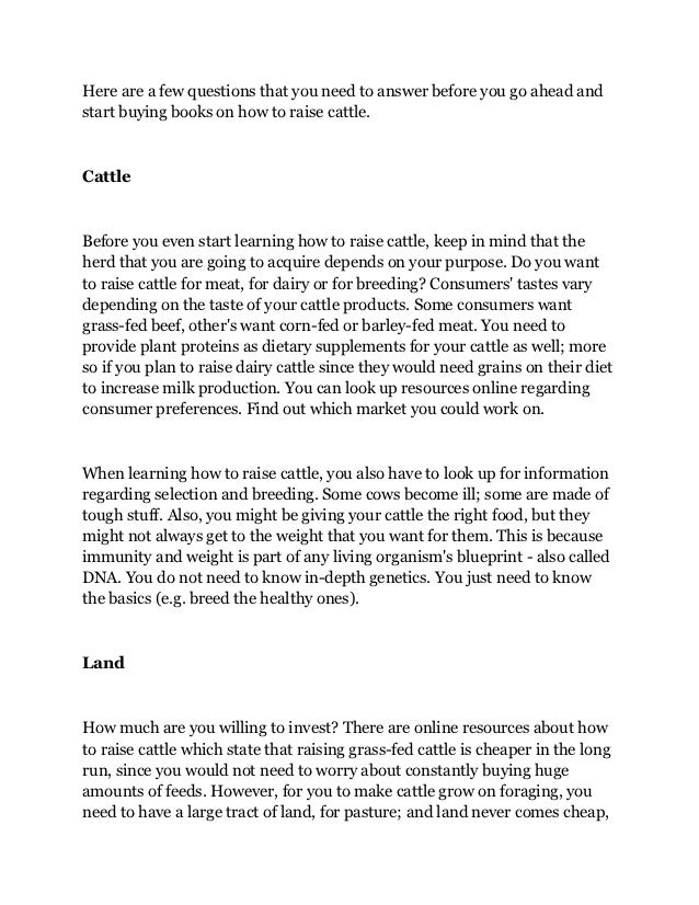 How to Raise Cattle Questions And Tips Before You Invest On Buying