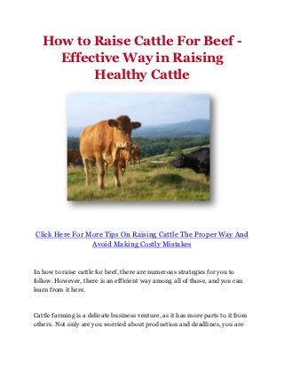 How to Raise Cattle For Beef -
     Effective Way in Raising
          Healthy Cattle




Click Here For More Tips On Raising Cattle The Proper Way And
                Avoid Making Costly Mistakes


In how to raise cattle for beef, there are numerous strategies for you to
follow. However, there is an efficient way among all of those, and you can
learn from it here.



Cattle farming is a delicate business venture, as it has more parts to it from
others. Not only are you worried about production and deadlines, you are
 