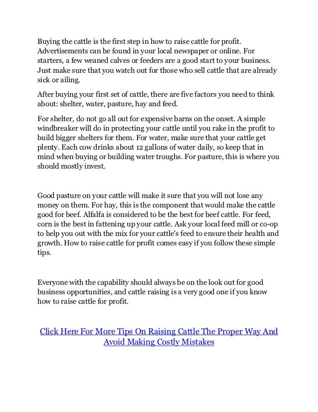 How to Raise Cattle For Profit at Your Own Home