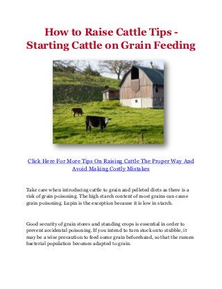 How to Raise Cattle Tips -
Starting Cattle on Grain Feeding




Click Here For More Tips On Raising Cattle The Proper Way And
                Avoid Making Costly Mistakes


Take care when introducing cattle to grain and pelleted diets as there is a
risk of grain poisoning. The high starch content of most grains can cause
grain poisoning. Lupin is the exception because it is low in starch.



Good security of grain stores and standing crops is essential in order to
prevent accidental poisoning. If you intend to turn stock onto stubble, it
may be a wise precaution to feed some grain beforehand, so that the rumen
bacterial population becomes adapted to grain.
 