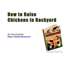 How to Raise Chickens in Backyard By Jean Corlette http://chickenkoop.net   