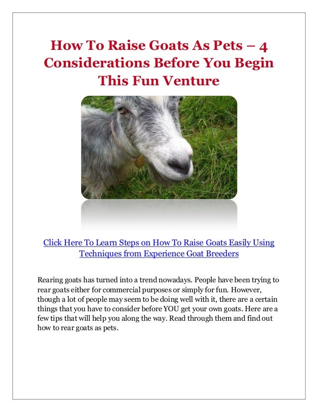 How To Raise Goats As Pets 4 Considerations Before You Begin This Fun