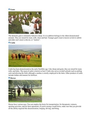 Goats
The domestic goat is intimately linked to sheep. It is in addition belongs to the oldest domesticated
animals. They are raised for meat, milk, skins and hair. Younger goat's meat is known as kid or cabrito
and older one's meat is chevon, or “mutton”.
Cattle
Cattle has been domesticated as the early Neolithic age. Like sheep and goats, they are raised for meat,
milk, and hides. The meat of cattle is known as beef. Cattle also serves as draft animals such as pulling
carts and plowing the field, although a carabao is mostly employed in the latter. Other products of cattle
include leather and manure for fertilizer.
Horses
Horses have various uses. You can employ the horse for transportation, for therapeutic ventures,
sporting activities, and for farm operations. If you're raising a small horse, make sure that you provide
all the ability required like desensitization, longing, driving, and biting.
 