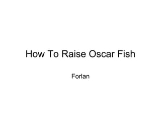 How To Raise Oscar Fish

         Forlan
 