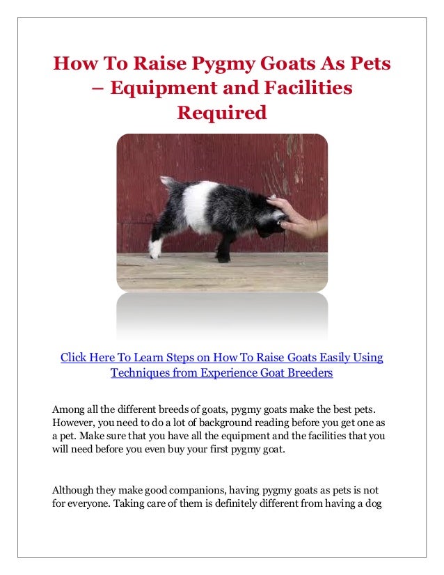 How To Raise Pygmy Goats As Pets Equipment and Facilities Required