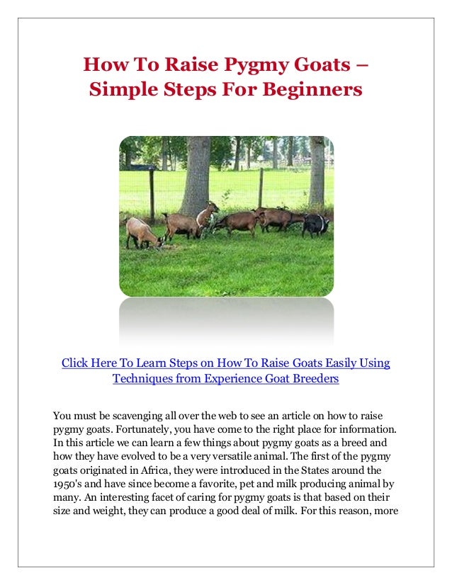 How To Raise Pygmy Goats Simple Steps For Beginners