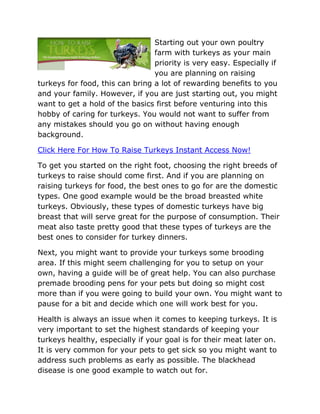 Starting out your own poultry
                                 farm with turkeys as your main
                                 priority is very easy. Especially if
                                 you are planning on raising
turkeys for food, this can bring a lot of rewarding benefits to you
and your family. However, if you are just starting out, you might
want to get a hold of the basics first before venturing into this
hobby of caring for turkeys. You would not want to suffer from
any mistakes should you go on without having enough
background.

Click Here For How To Raise Turkeys Instant Access Now!

To get you started on the right foot, choosing the right breeds of
turkeys to raise should come first. And if you are planning on
raising turkeys for food, the best ones to go for are the domestic
types. One good example would be the broad breasted white
turkeys. Obviously, these types of domestic turkeys have big
breast that will serve great for the purpose of consumption. Their
meat also taste pretty good that these types of turkeys are the
best ones to consider for turkey dinners.

Next, you might want to provide your turkeys some brooding
area. If this might seem challenging for you to setup on your
own, having a guide will be of great help. You can also purchase
premade brooding pens for your pets but doing so might cost
more than if you were going to build your own. You might want to
pause for a bit and decide which one will work best for you.

Health is always an issue when it comes to keeping turkeys. It is
very important to set the highest standards of keeping your
turkeys healthy, especially if your goal is for their meat later on.
It is very common for your pets to get sick so you might want to
address such problems as early as possible. The blackhead
disease is one good example to watch out for.
 