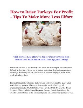 How to Raise Turkeys For Profit
- Tips To Make More Less Effort




    Click Here To Learn How To Raise Turkeys Correctly from
     Owners Who Have Raised More Than 250,000 Turkeys


The basics on how to raise turkeys for profit are not simple, but they aren't
difficult to do either. If you are intent on going into this business venture,
knowing a few things before you start with it would help you make more
profit with less effort.



The first thing in how to raise turkeys for profit is you need to know what
kind of turkey to raise. There are three major kinds of turkeys, all
originating from the United States. These are the Wild Bronze, the Broad
Breasted White, and the Broad Breasted Bronze. Out of these three, the
Broad Breasted White is the one mostly used for commercial purposes. This
 