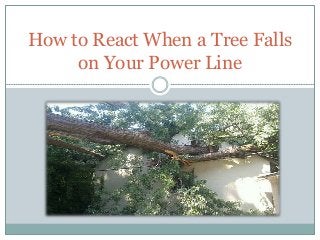 How to React When a Tree Falls
on Your Power Line
 