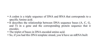 How to read a codons chart | PDF
