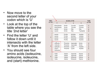 Codon Table | PPT
