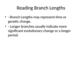 Reading Branch Lengths
• - Branch Lengths may represent time or
genetic change.
• - Longer branches usually indicate more
significant evolutionary change or a longer
period.
 