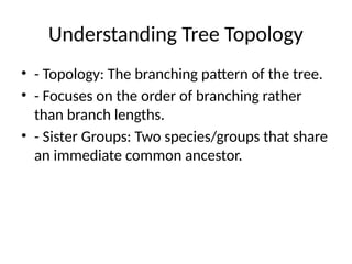 Understanding Tree Topology
• - Topology: The branching pattern of the tree.
• - Focuses on the order of branching rather
than branch lengths.
• - Sister Groups: Two species/groups that share
an immediate common ancestor.
 
