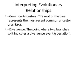 Interpreting Evolutionary
Relationships
• - Common Ancestors: The root of the tree
represents the most recent common ancestor
of all taxa.
• - Divergence: The point where two branches
split indicates a divergence event (speciation).
 