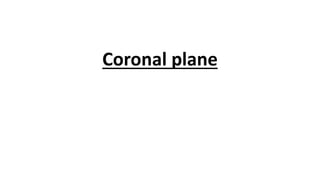 Coronal plane
 