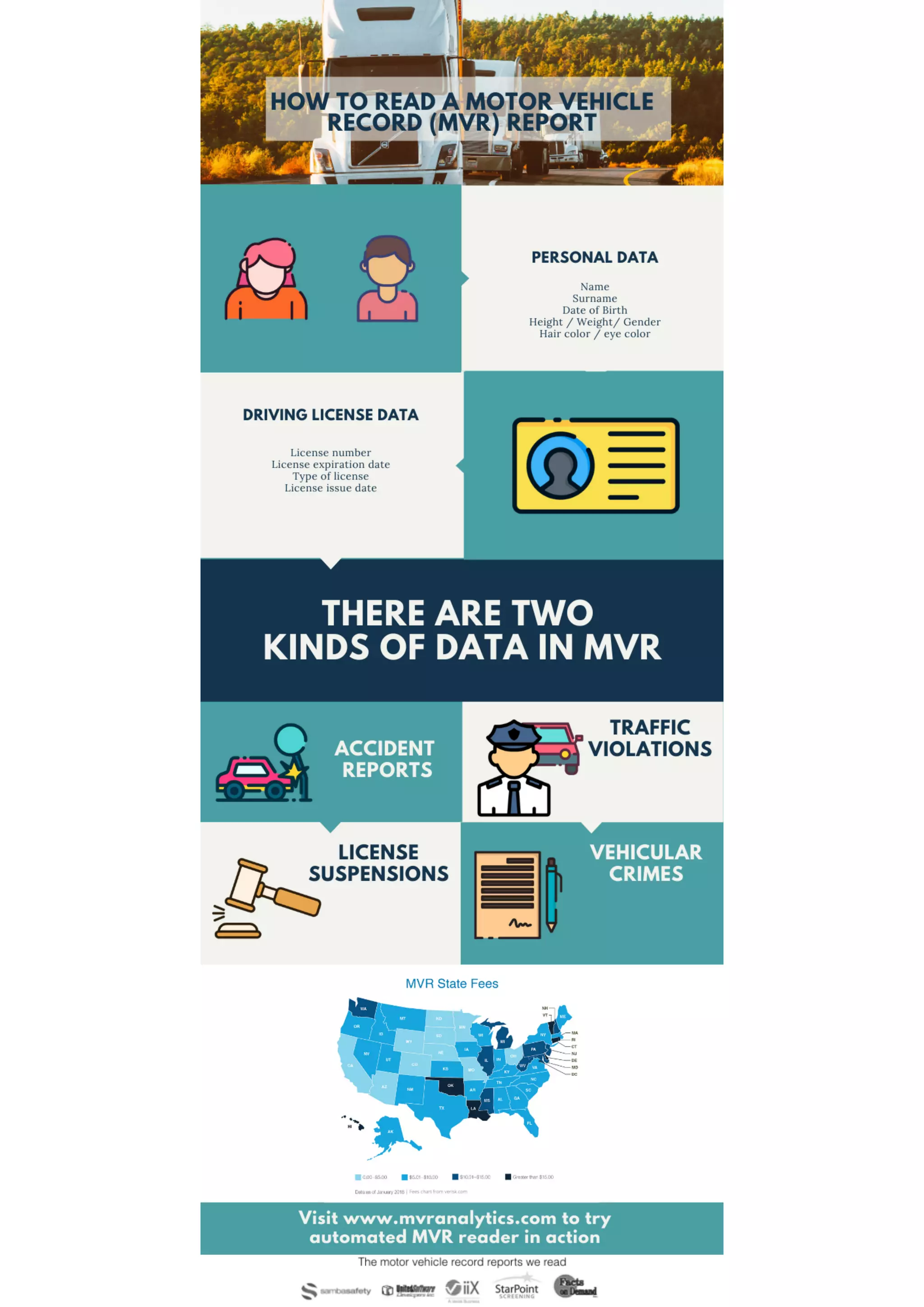 How to read mvr by mvranalytics | PDF