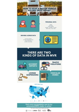 How to read mvr by mvranalytics PDF