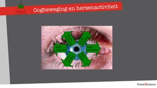 Oogbeweging en hersenactiviteit
Intern
overleg
Audio
constructie
Audio
herinnering
Visueleherinnering
Emotiebeleving
Visuele
constructie
Persoonlijk programma
Gevoel
Relatie
Inhoud
Proces
 