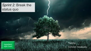 Sprint 2: Break the
status quo
• Training
• Common Vocabulary
Ingredient:
Agile Coach
 