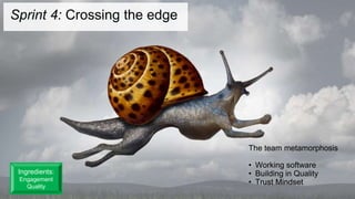 Sprint 4: Crossing the edge
The team metamorphosis
• Working software
• Building in Quality
• Trust Mindset
Ingredients:
Engagement
Quality
 