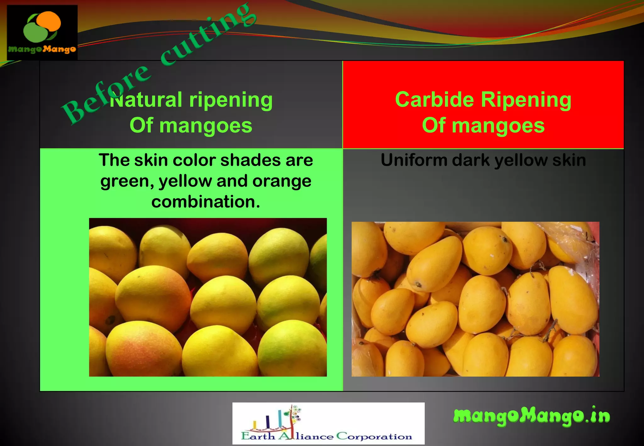 How to recognise carbide ripen mangoes | PPT