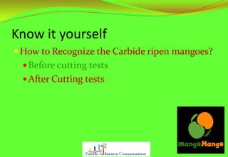 Know it yourself
How to Recognize the Carbide ripen mangoes?
Before cutting tests
After Cutting tests
 