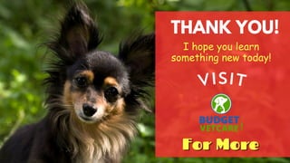 THANK YOU!
I hope you learn
something new today!
Visit
For More
For More
For More
 