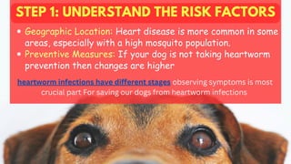 STEP 1: UNDERSTAND THE RISK FACTORS
Geographic Location: Heart disease is more common in some
areas, especially with a high mosquito population.
Preventive Measures: If your dog is not taking heartworm
prevention then changes are higher
heartworm infections have different stages observing symptoms is most
crucial part For saving our dogs from heartworm infections
 