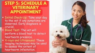 STEP 5: SCHEDULE A
VETERINARY
APPOINTMENT
Initial Check-Up: Take your dog
to the vet if any symptoms are
observed. Early diagnosis is
crucial.
Blood Test: The vet will
perform a blood test to detect
heartworm presence.
X-rays and Ultrasound: These
imaging techniques may be used
to assess the extent of
heartworm infestation.
 