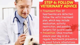 STEP 6: FOLLOW
VETERINARY ADVICE
Treatment Plan: If
heartworms are detected,
follow the vet’s treatment
plan, which may include
medication, activity
restriction, and possibly
surgery for severe cases.
Prevention: Once treated,
ensure your dog is on a
regular heartworm preventive
to avoid future infestations.
 