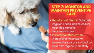 STEP 7: MONITOR AND
MAINTAIN PREVENTIVE
CARE
Regular Vet Visits: Schedule
regular check-ups to ensure
your dog remains
heartworm-free.
Preventive Medication:
Administer heartworm
preventives as prescribed by
your vet, typically monthly.
 