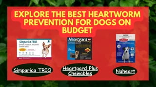 EXPLORE THE BEST HEARTWORM
PREVENTION FOR DOGS ON
BUDGET
Heartgard Plus
Chewables Nuheart
Simparica TRIO
 