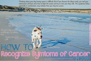HOW TO
INDOGS
RecognizeSymtomsofCancer
roswellalpharettavet.comPresents
Strainingtodeficate;
thin,ribbon-likestools
LimpingChangein
gait
Changeinsize,shapeor
consistencyofanexisting
lump
Diffcultyurinating/bloody
urine
VomitingDiarrhea
http://animal.discovery.com/pets/how-to-recognize-symptoms-of-cancer-in-dogs.htm
http://parkerpup.com
Source:
Increasedthrist&
urination
FoulbreathExcessive
drooling
Drainageorodorfromears
Dry,redorcloudyeyes
Thinkingaboutyourdoghavingcancerisdifficult.Butifyoudiscovertheillnessearly,youandyour
veterinarianwillhavemoretimetofightthecancerandtrytosaveyourdog'slife.Thesymptomsbelow,
especiallyincombination,mayindicatethatyourdoghascancer.
 