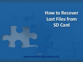 How to Recover
Lost Files from
SD Card

www.recover-lost-data.com/sd-card/

 