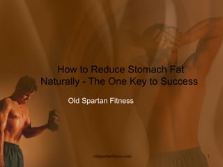How to Reduce Stomach Fat
Naturally - The One Key to Success
     Old Spartan Fitness




            oldspartanfitness.com    1
 