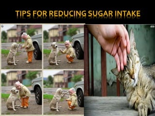  Eat regular meals and snacks
 Never skip breakfast
 Include protein and healthy fats with meals and
snacks
 Learn to enjoy food containing less sugar
 Substitute refined sugar by natural sweeteners
 Drinking plain water
 Know your labels
 Remove temptation!
 Get some exercises
 