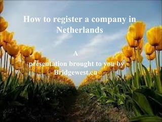 How to register a company in
Netherlands
A
presentation brought to you by
Bridgewest.eu
 