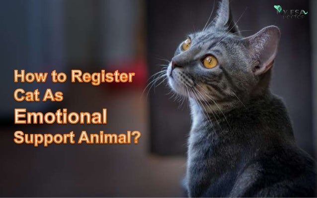 How to Register Cat as Emotional 