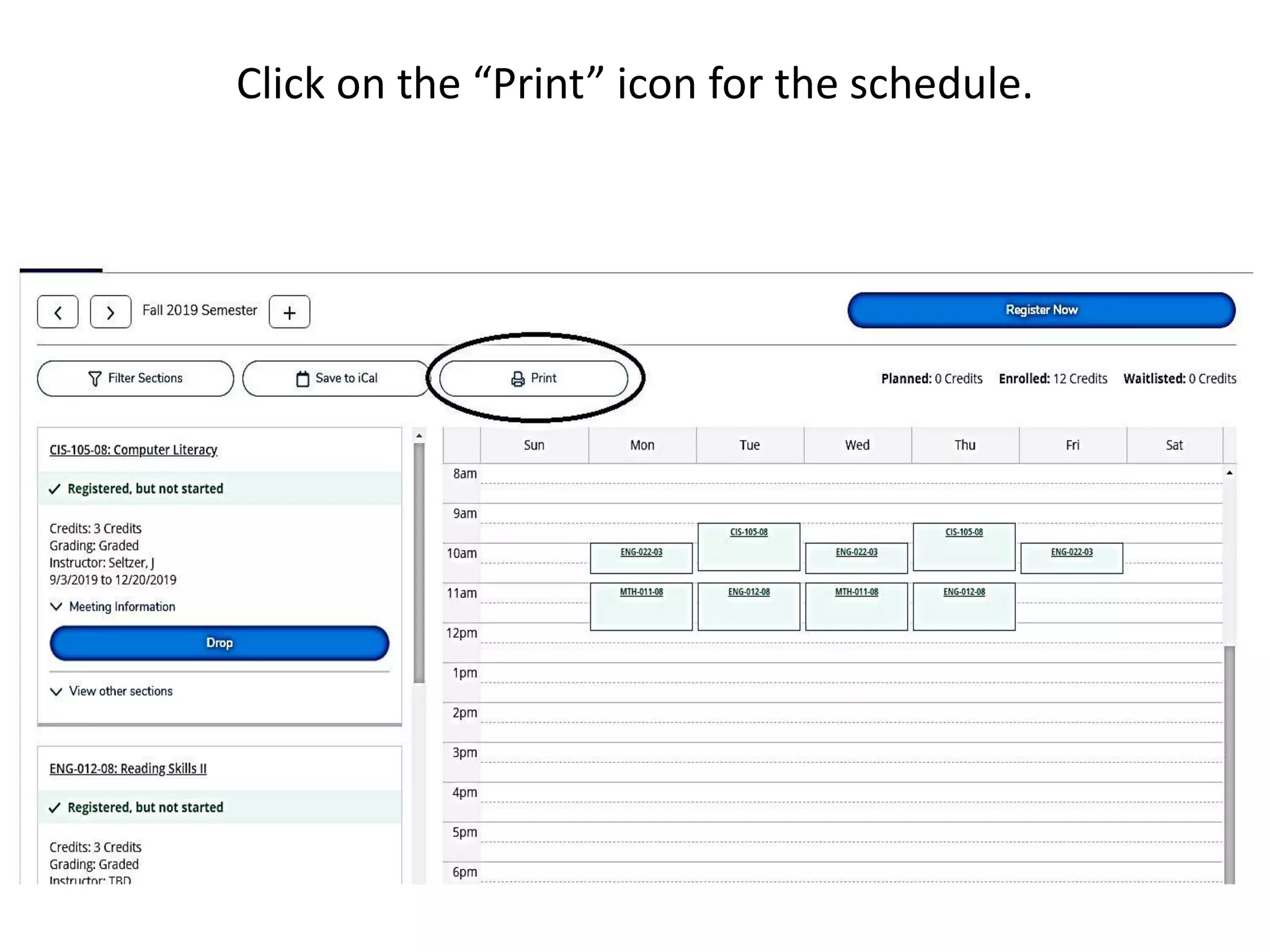 Click on the “Print” icon for the schedule.
 