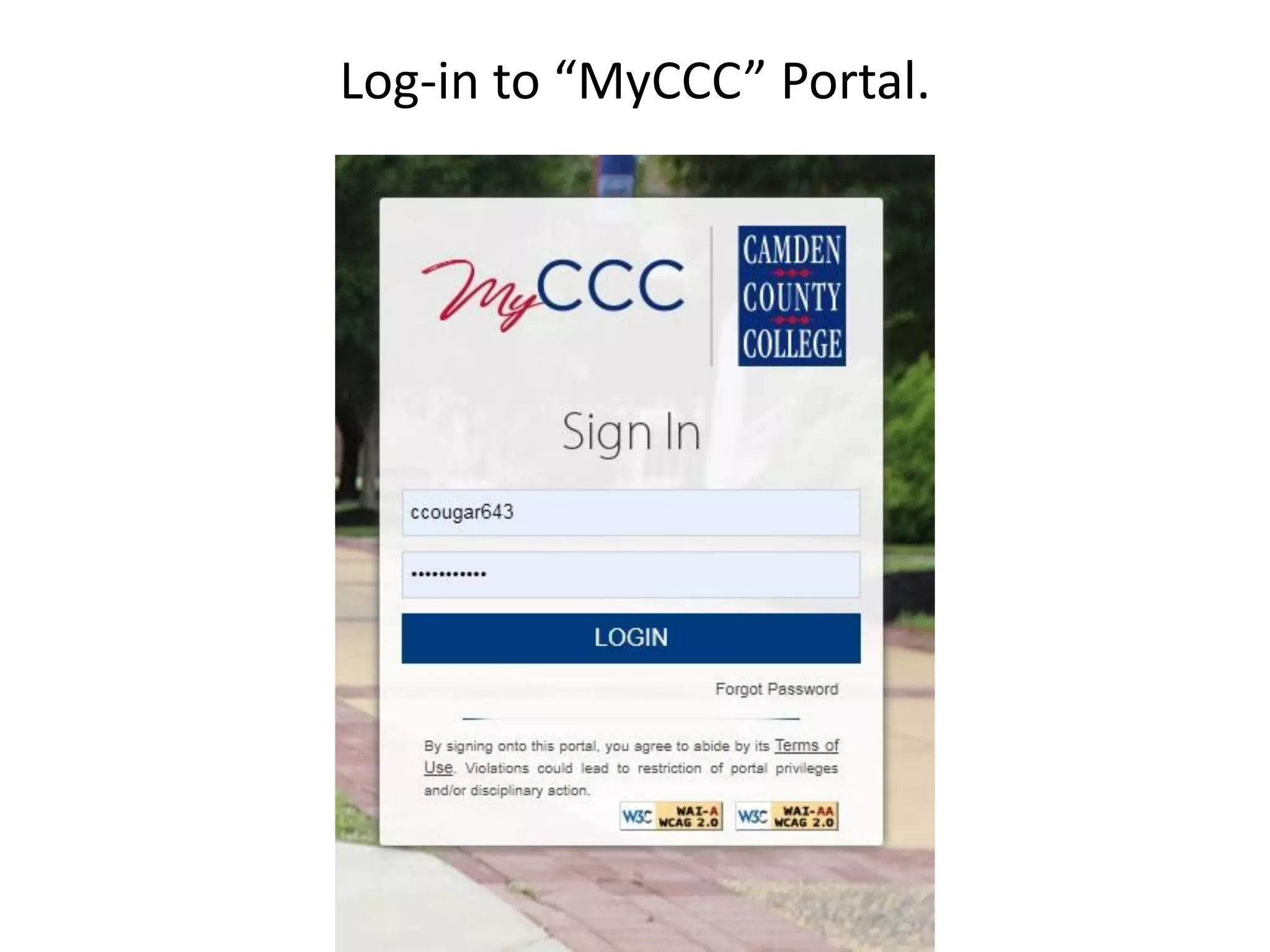 Log-in to “MyCCC” Portal.
 