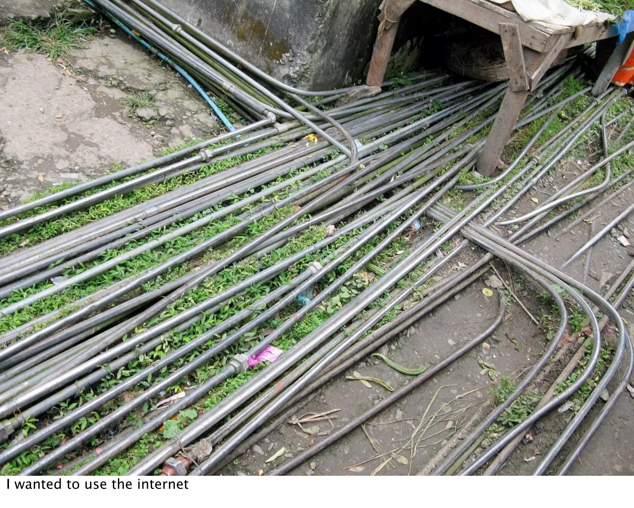 I wanted to use the internet
 