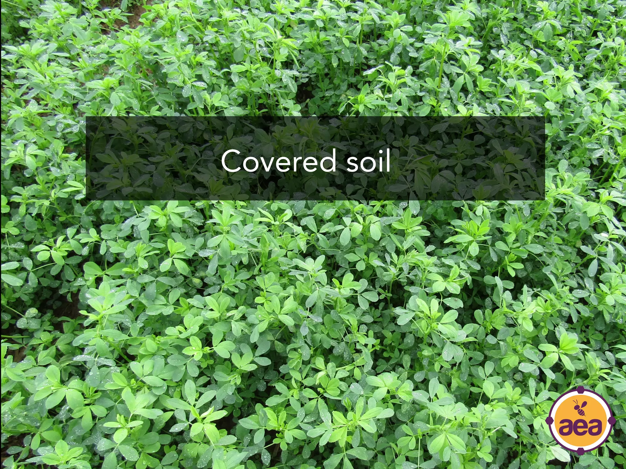 Covered soil