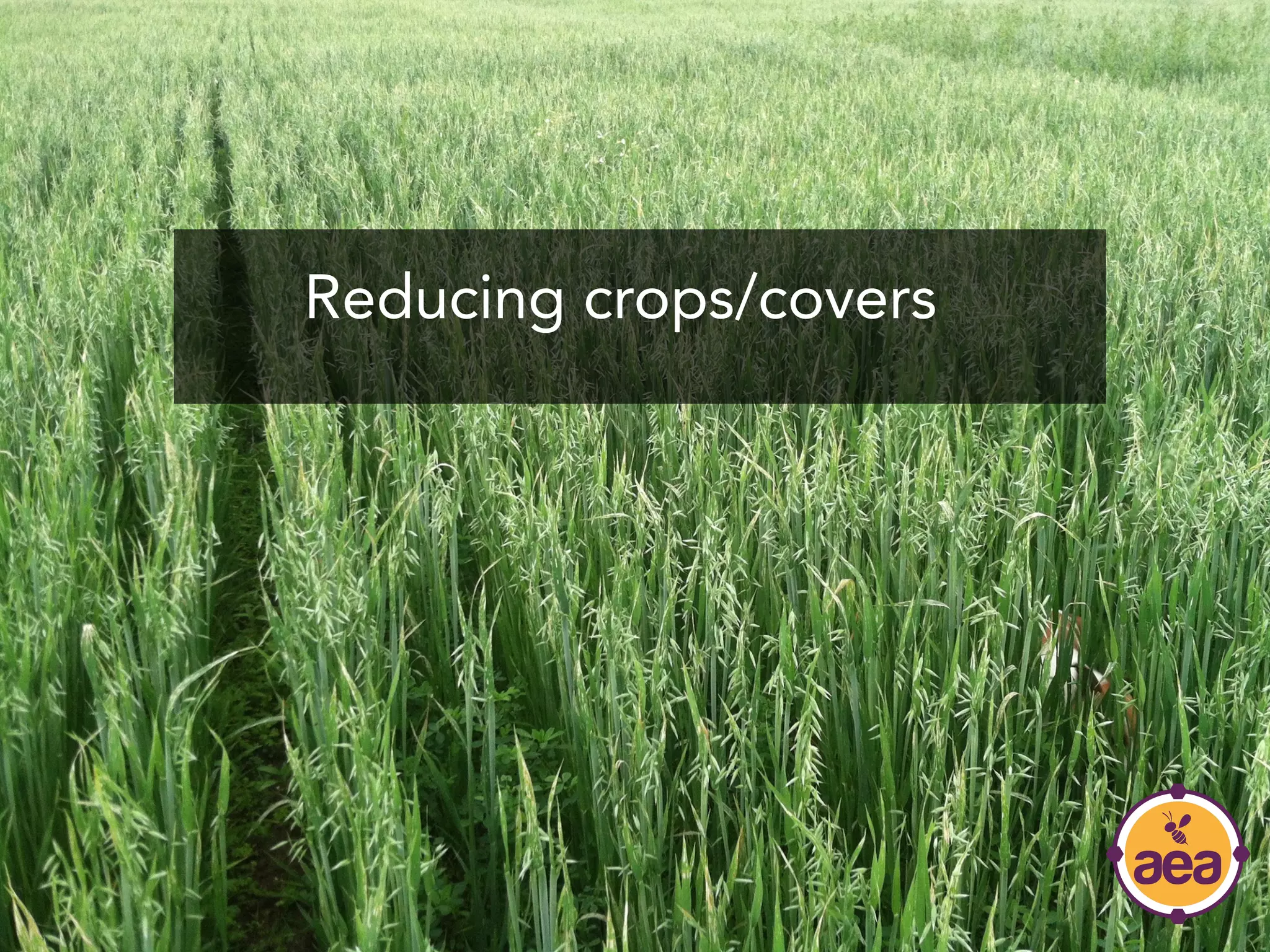 Reducing crops/covers