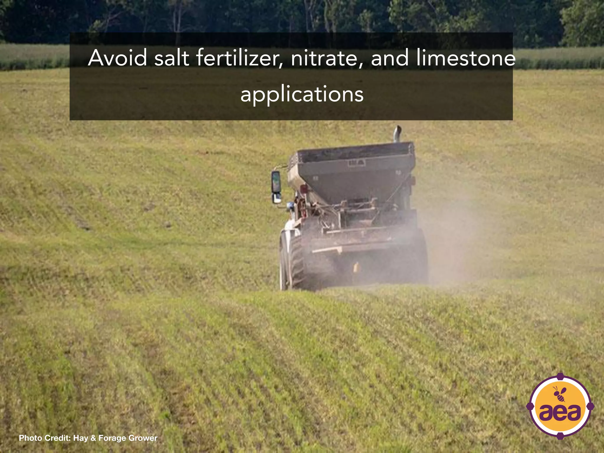 Avoid salt fertilizer, nitrate, and limestone
applications
Photo Credit: Hay & Forage Grower