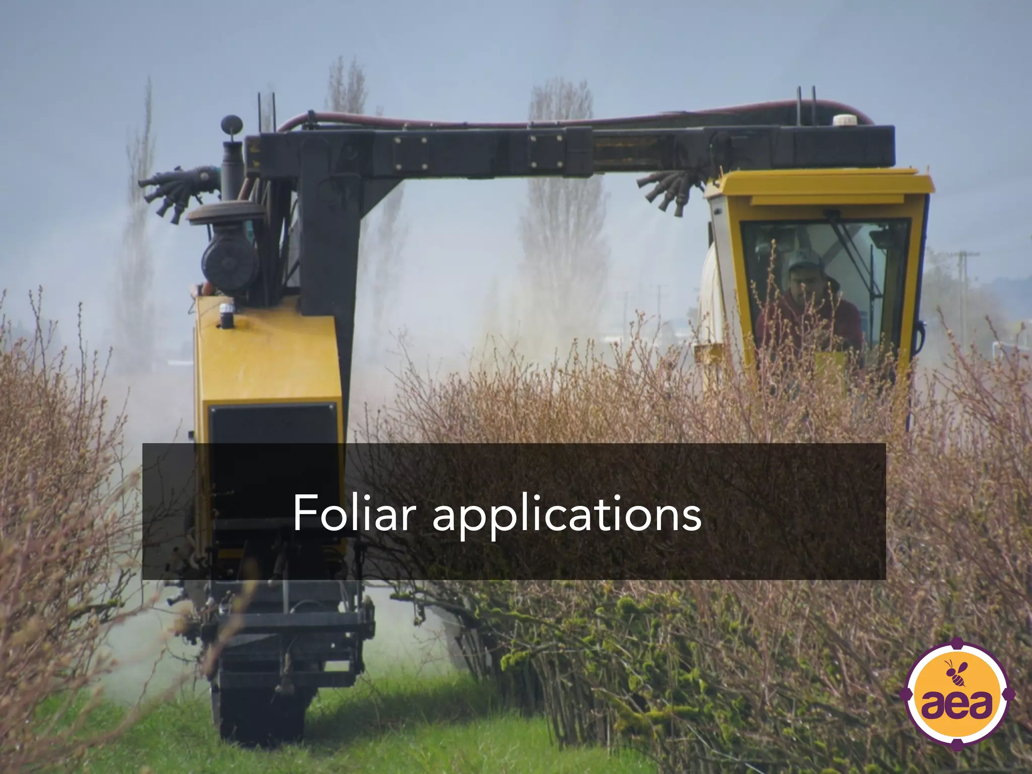 Foliar applications