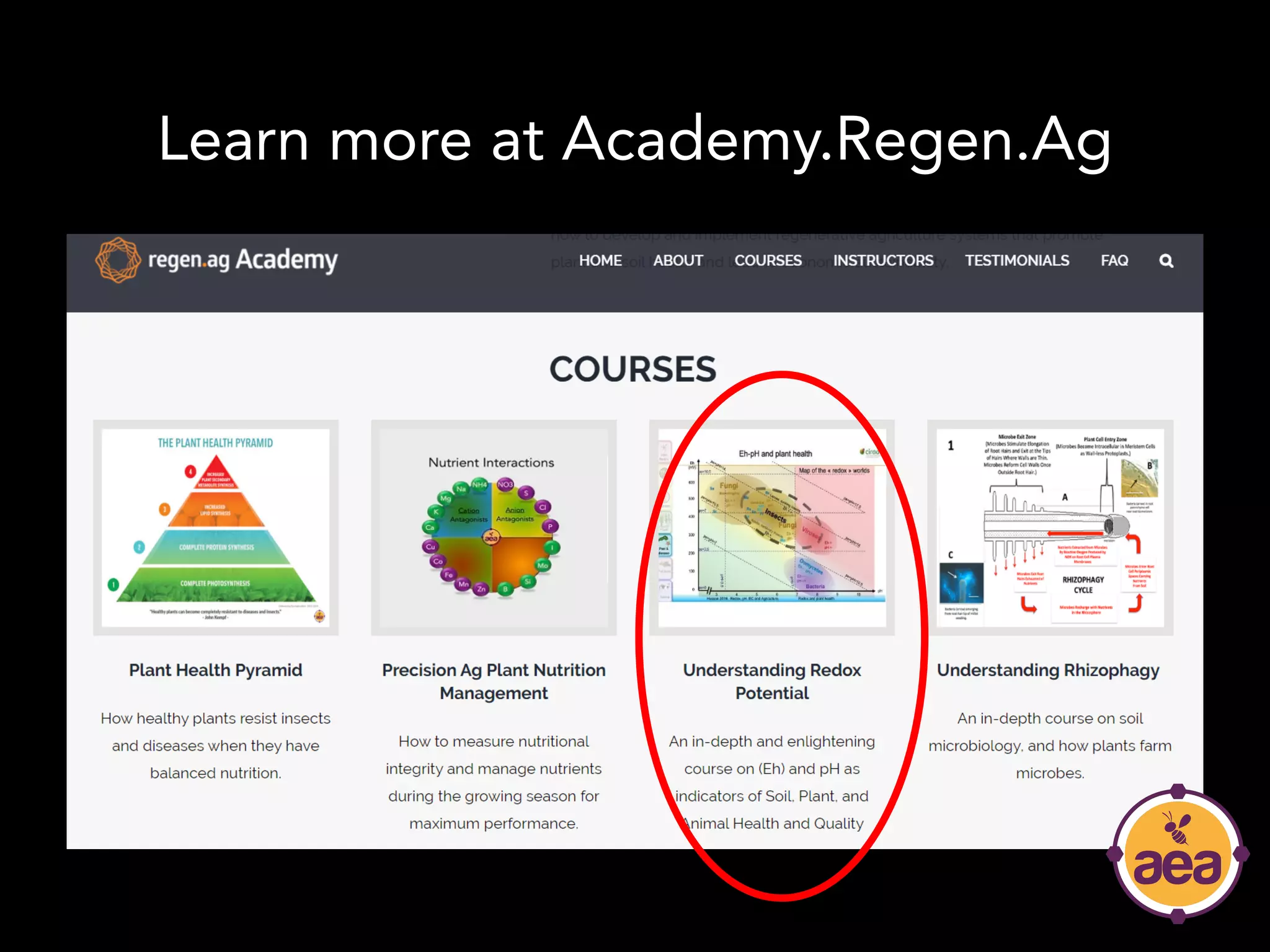 Learn more at Academy.Regen.Ag