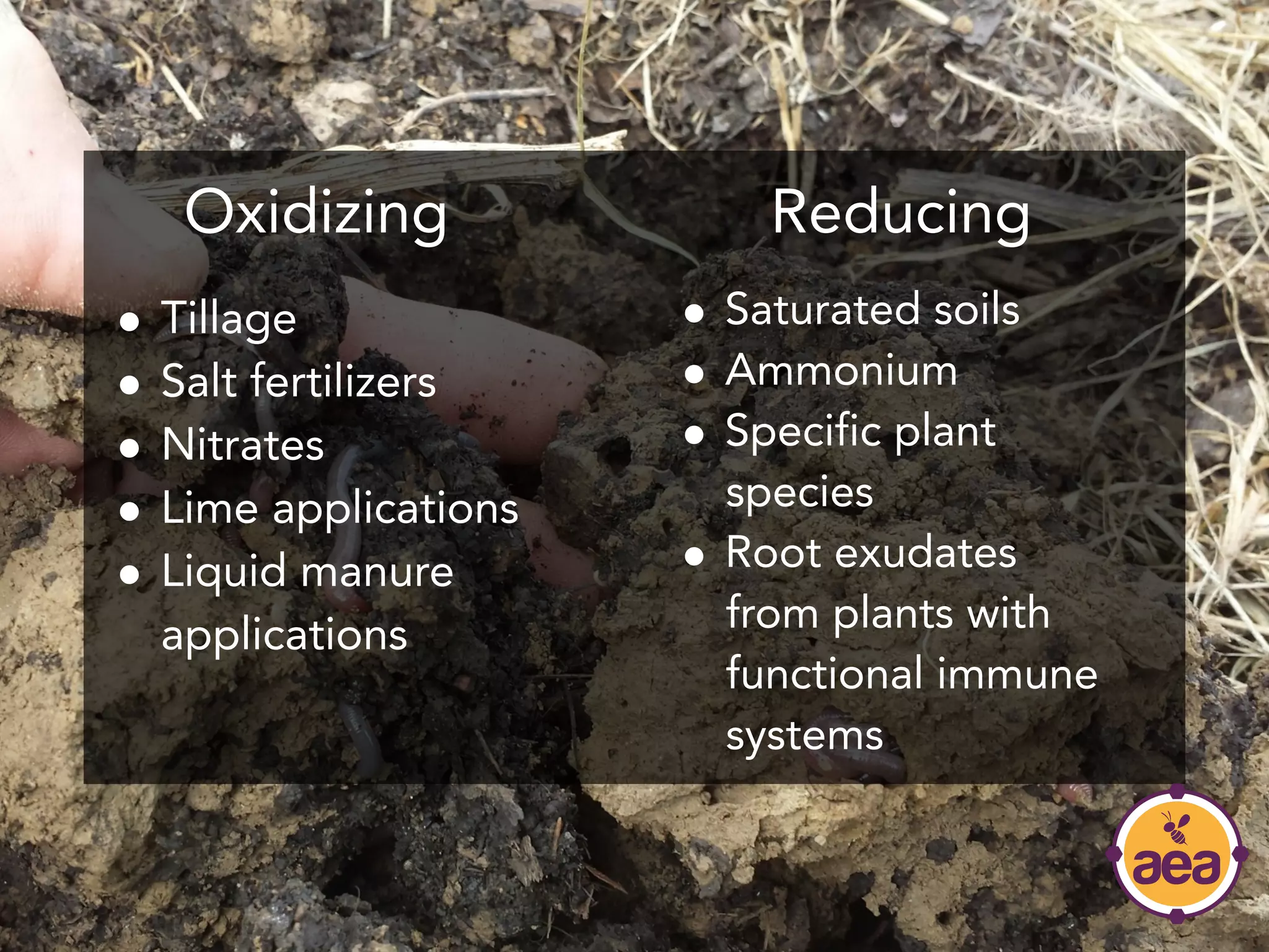 ● Tillage
● Salt fertilizers
● Nitrates
● Lime applications
● Liquid manure
applications
● Saturated soils
● Ammonium
● Specific plant
species
● Root exudates
from plants with
functional immune
systems
Oxidizing Reducing